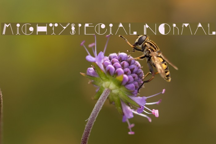 MightySpecial Normal Font examples