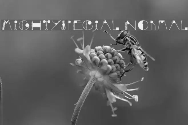 MightySpecial Normal Example 3