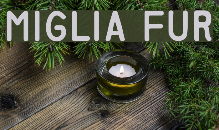 Miglia Fur Example 2