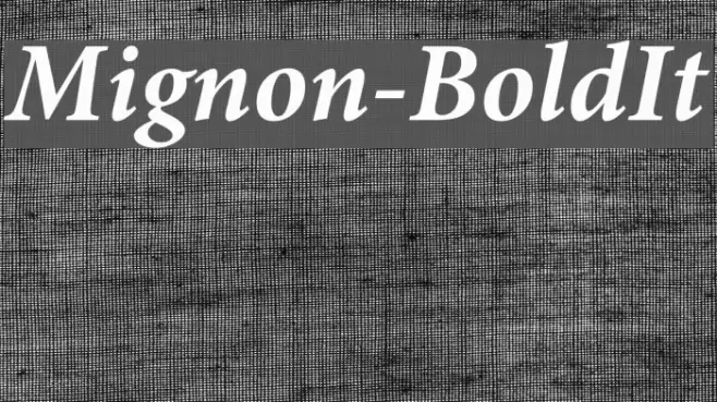 Mignon-BoldIt Font examples