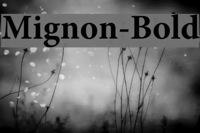 Mignon-Bold Example 2