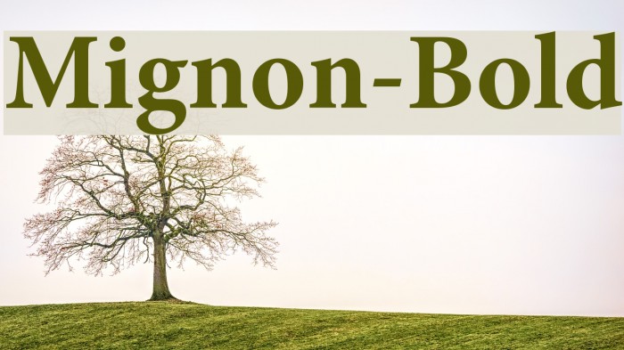Mignon-Bold Font examples