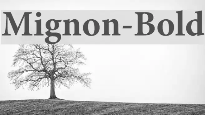 Mignon-Bold Example 3