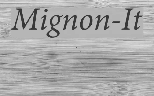 Mignon-It Font examples