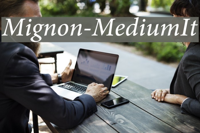 Mignon-MediumIt Font examples