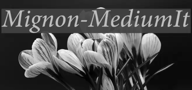 Mignon-MediumIt examples