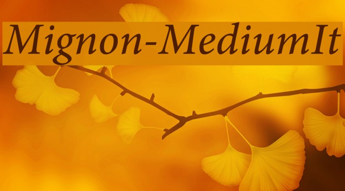 Mignon-MediumIt Font examples