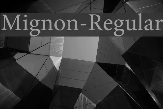 Mignon-Regular Example 1