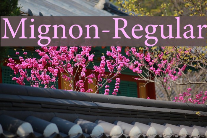 Mignon-Regular Font examples