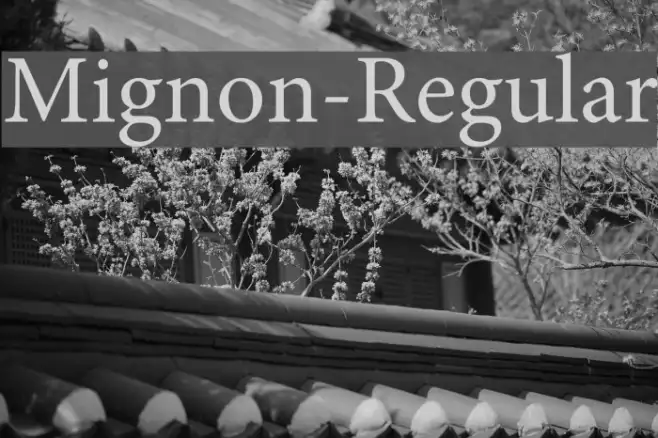Mignon-Regular Example 2