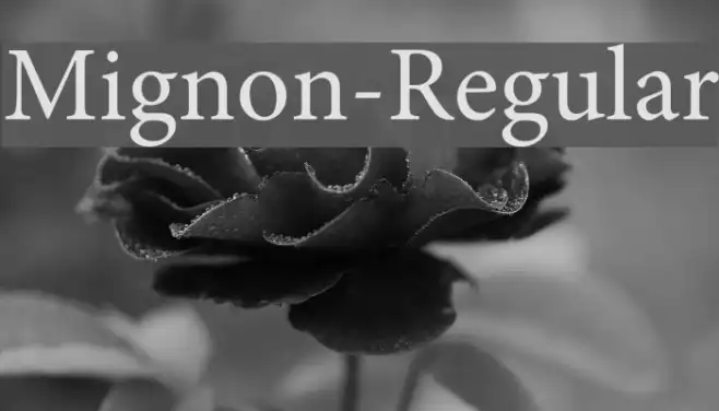 Mignon-Regular Example 3