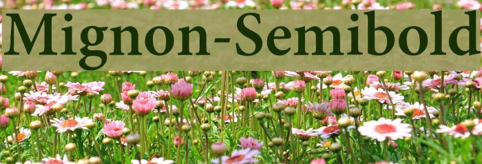 Mignon-Semibold Font examples