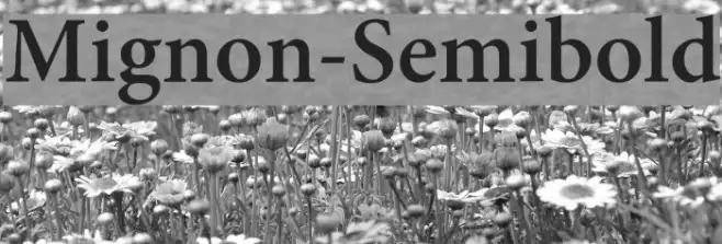 Mignon-Semibold Example 3