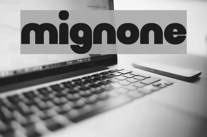 Mignone Example 2
