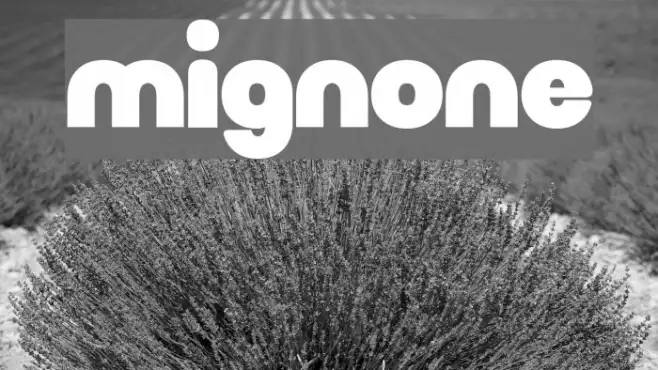 Mignone Example 3