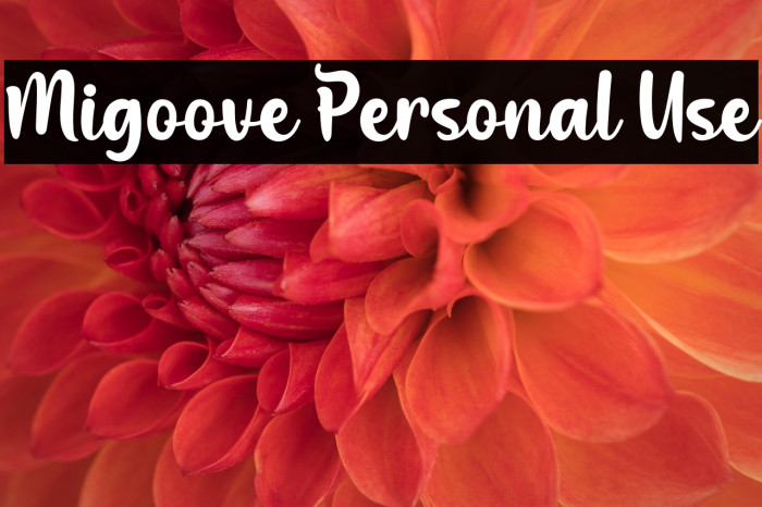 Migoove Personal Use Example 2