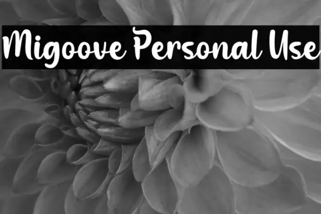 Migoove Personal Use Example 2