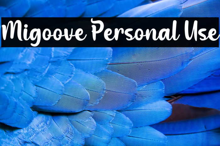 Migoove Personal Use Example 3