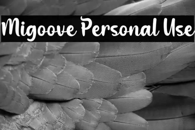 Migoove Personal Use Example 3