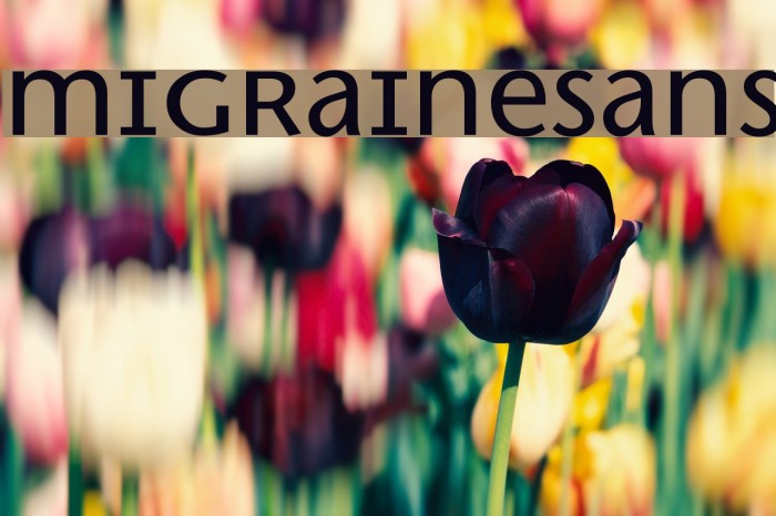 MigraineSans Font examples