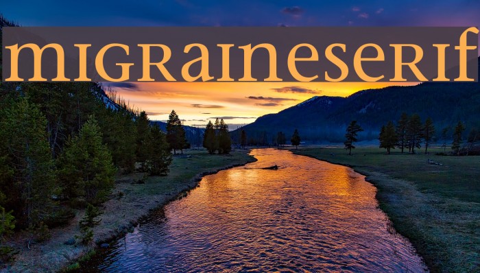 MigraineSerif Example 2