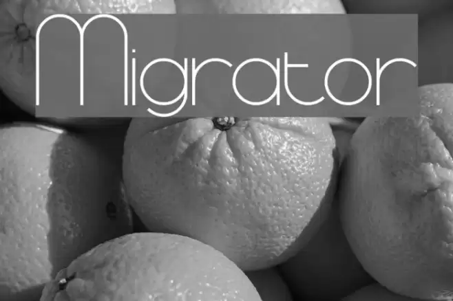 Migrator Font examples
