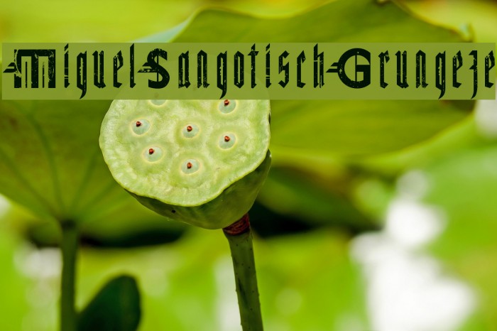 MiguelSangotischGrungeze Font examples