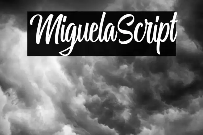 MiguelaScript Example 2