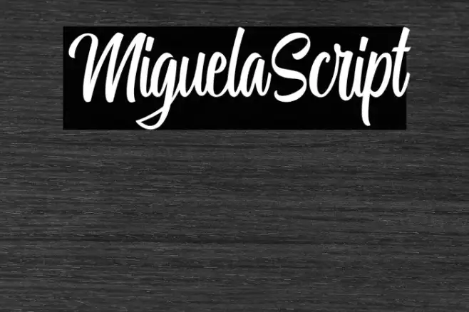 MiguelaScript Example 3