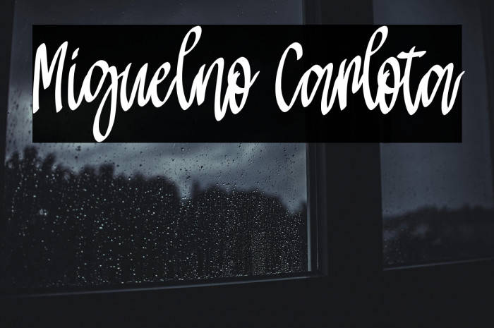 Miguelno Carlota Example 1