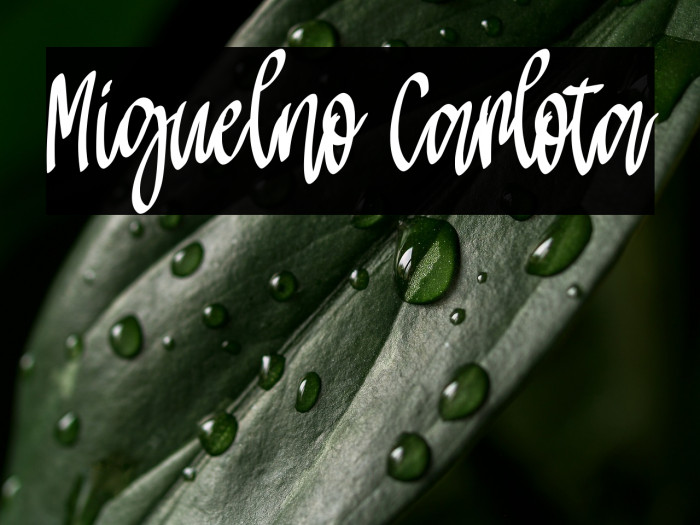 Miguelno Carlota Example 2