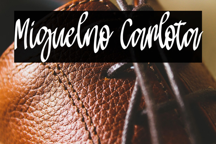 Miguelno Carlota Example 3