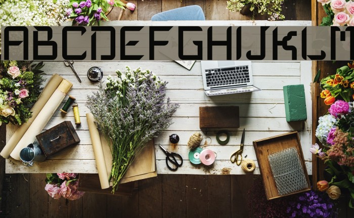 Mika Medium Font examples