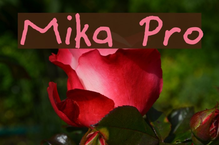 Mika Pro Font examples