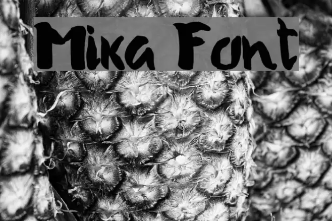 Mika Font examples