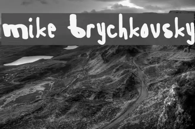 Mike Brychkovsky Example 2