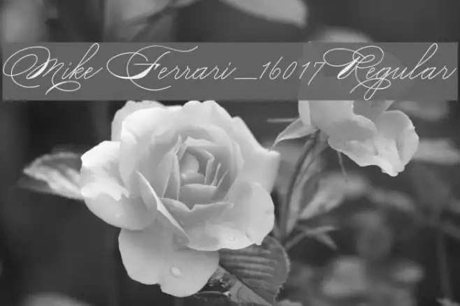 Mike Ferrari_16017 Regular Example 1