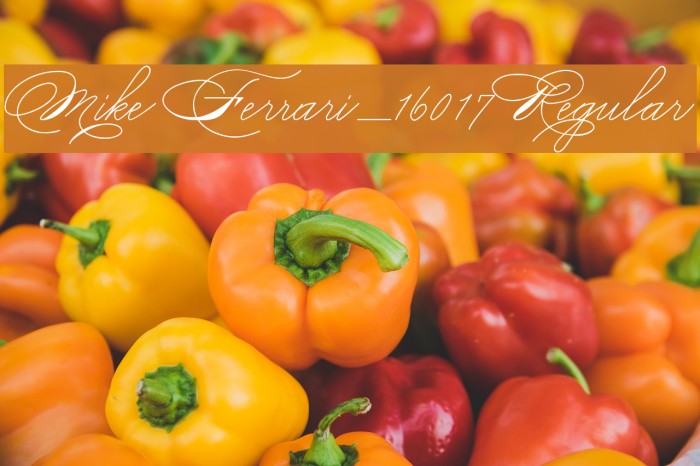 Mike Ferrari_16017 Regular Font examples