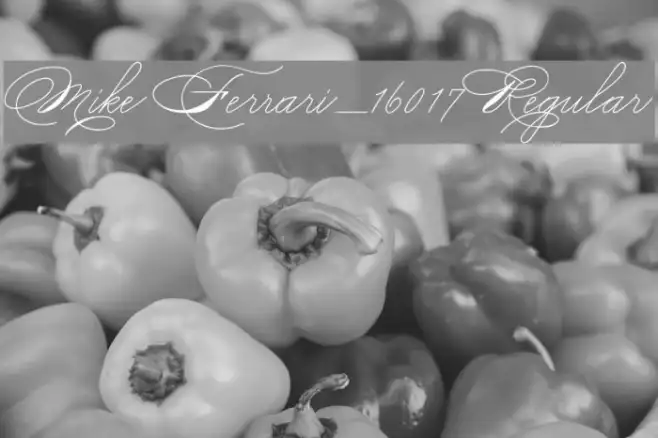 Mike Ferrari_16017 Regular Example 3
