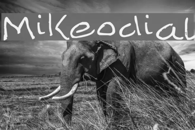 Mikeodial Font examples