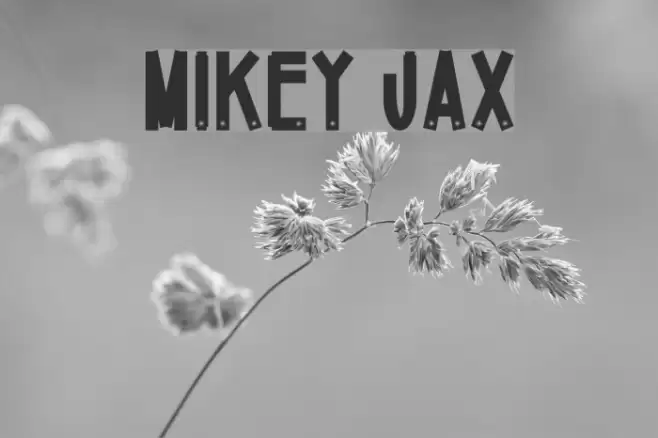 Mikey Jax Font examples