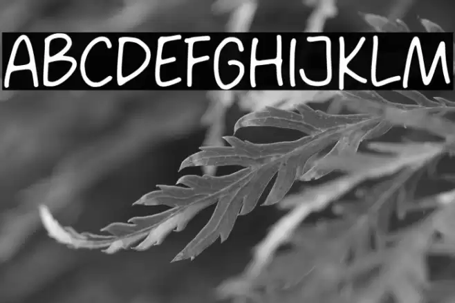 Mikey Stylish Font examples