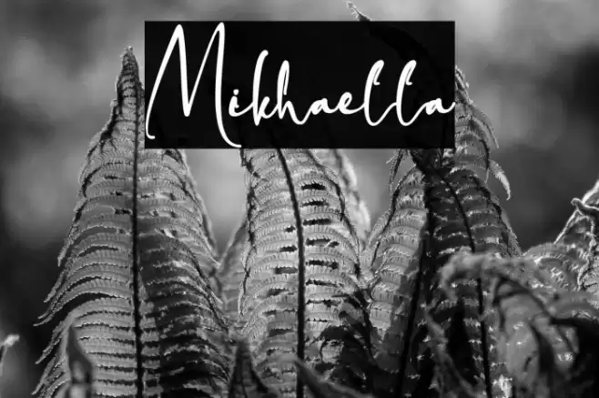 Mikhaella Font examples