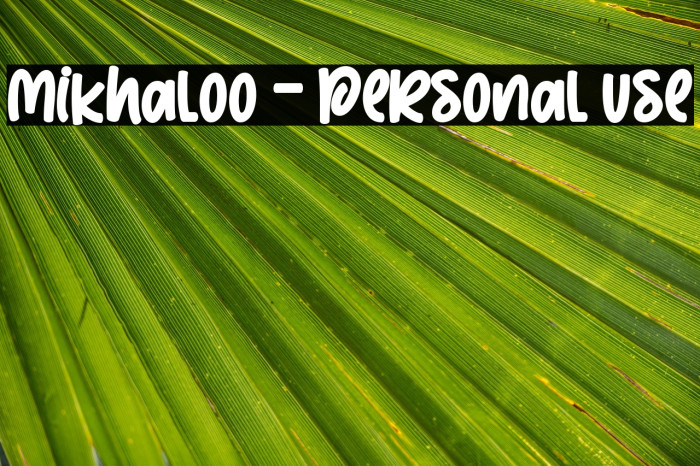 Mikhaloo - Personal use Example 3