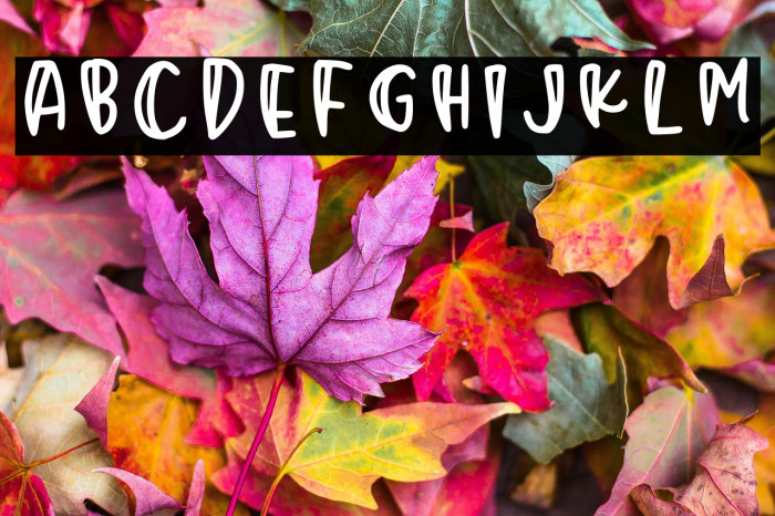 Mikrokosmos Regular Example 1