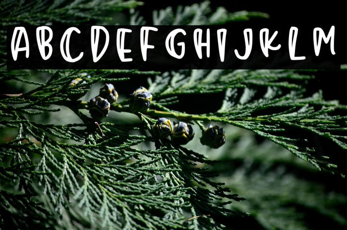 Mikrokosmos Regular Example 3