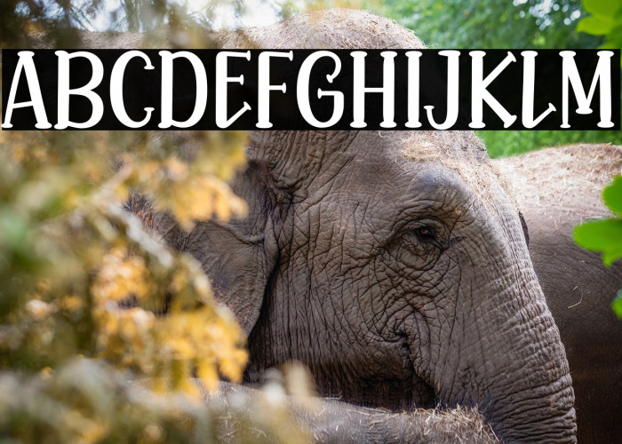 Mila Bright Example 1