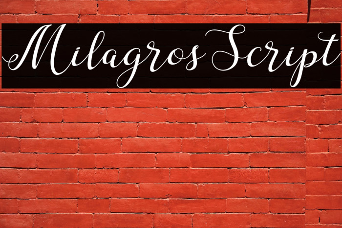 MilagrosScript Example 2