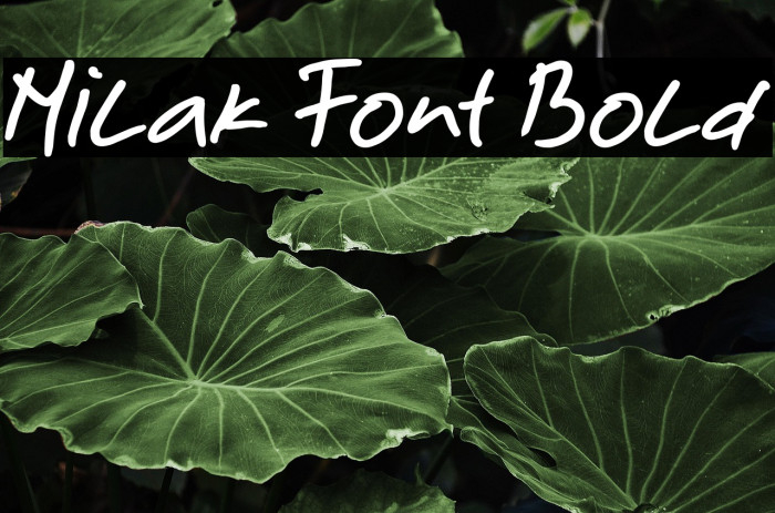 Milak Font Bold Example 3