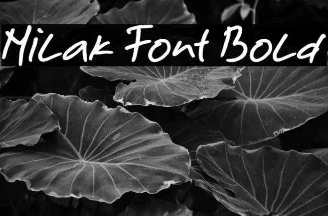 Milak Font Bold Example 3